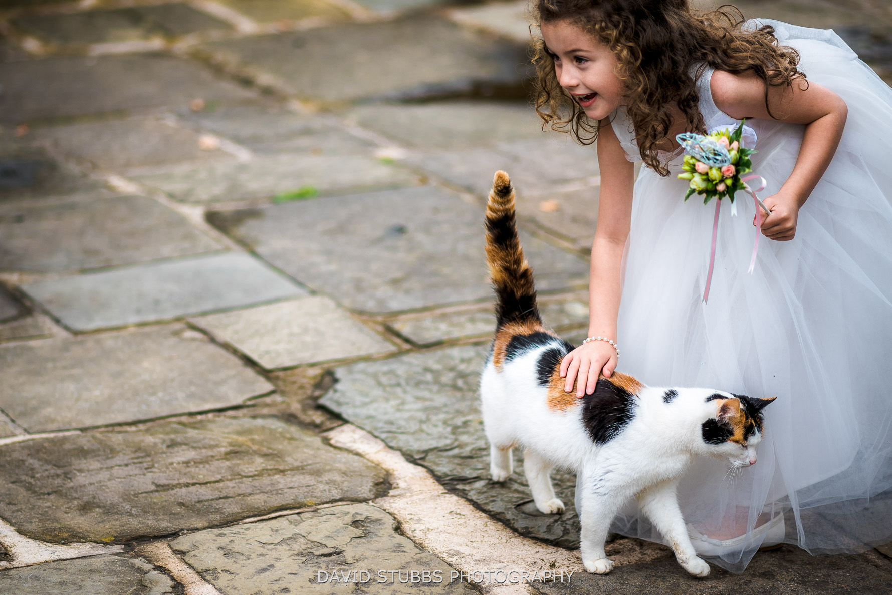 flowers and cat at wedding