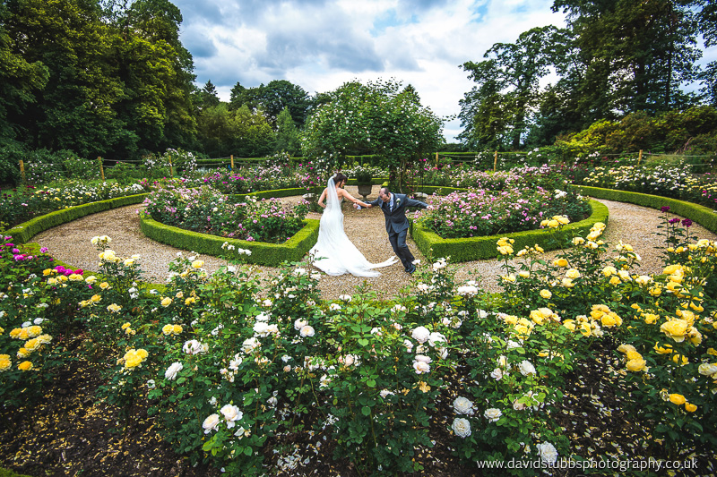 rose garden photo in colour
