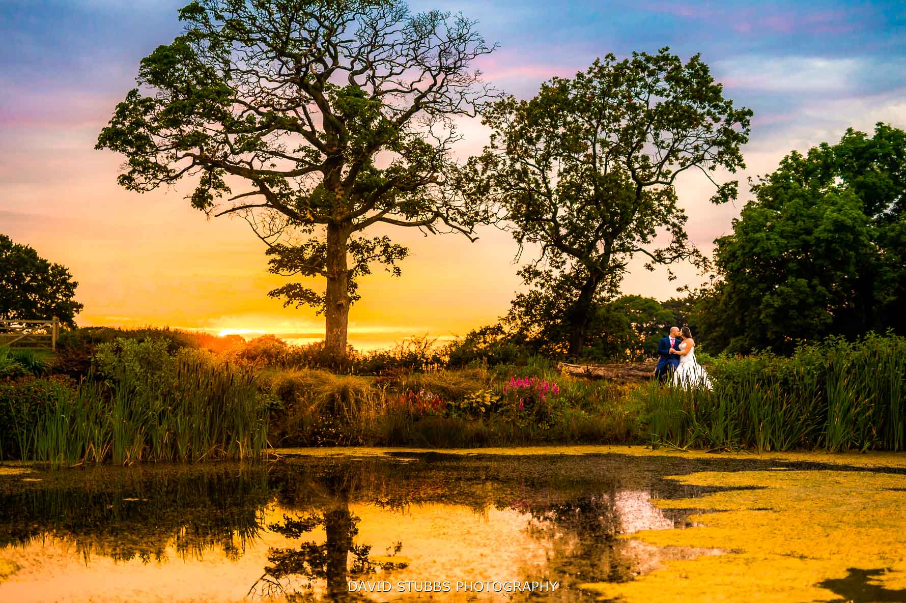 sunset over the pond at Stanley house wedding