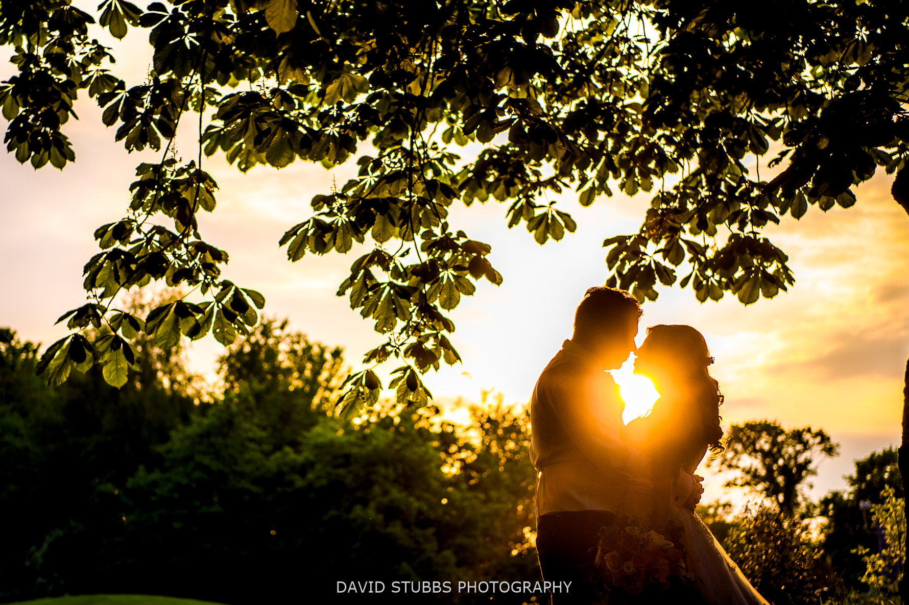 glorious day in the sun, with lens flare